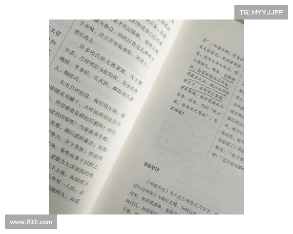 《欧洲传奇史诗：穿越千年风云与英雄传奇的时代长卷》